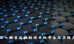 深入探索区块链项目的平台及其特点