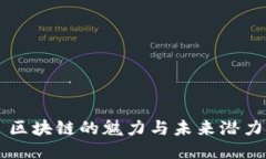 区块链的魅力与未来潜力