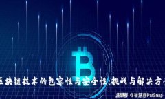 区块链技术的包容性与安全性：挑战与解决方案